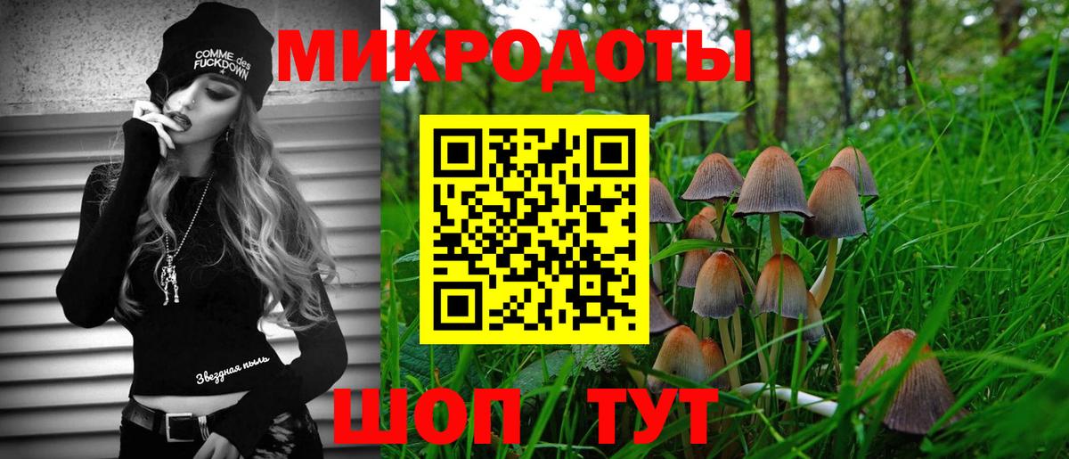 Тосно  Псилоцибиновые грибы мухоморы  Псилоцибиновые грибы Cubensis  Вход с VPN 
